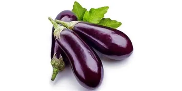 aubergine