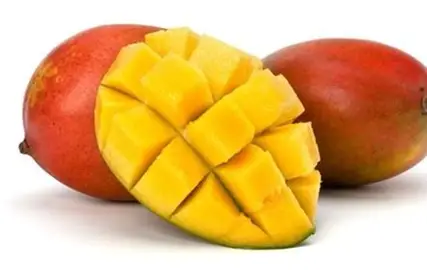mangue